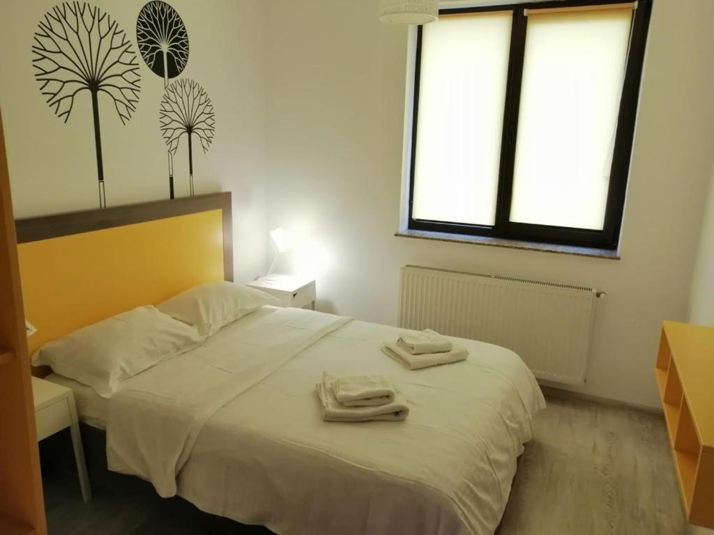 Urban Apartments And Studios - City Center 이아시 객실 사진